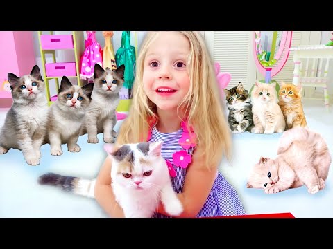 Nastya and her stories about cats and kittens