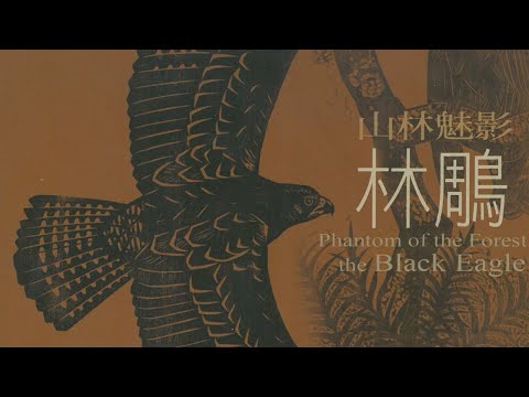 山林魅影-林鵰 [Full HD版]
