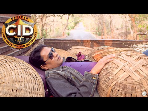 टोकरियों के ट्रक में छिपकर मुंबई पहुँचे अभिजीत और तारिका || CID || Latest Episode