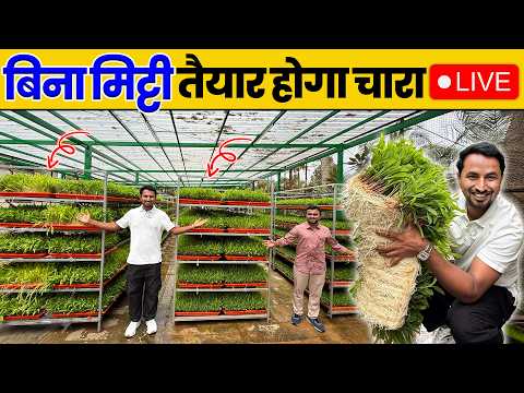 कम जगह, कम पानी में झटपट मिलेगा चारा 🤩💯Hydroponic Fodder System का कमाल😱Indian Farmer