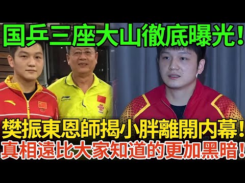 国乒三座大山徹底曝光！樊振東恩師揭小胖離開内幕！真相遠比大家知道的更加黑暗！
