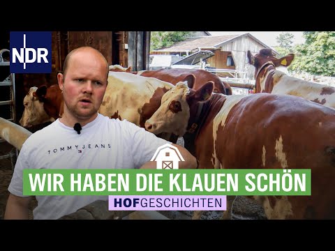 Fußpflege für die Kühe | Hofgeschichten: Leben auf dem Land (292) | NDR