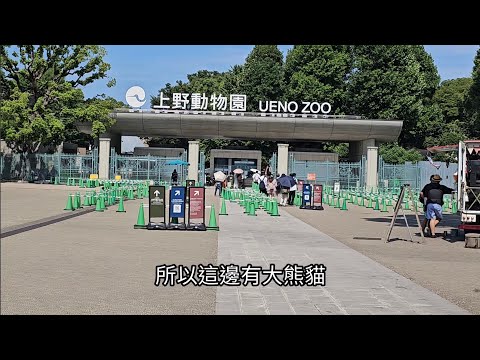 日本第一座國家公園上野恩賜公園 上野動物園上野東照宮充滿了藝術悠閒的氣息值得一逛再逛ep31