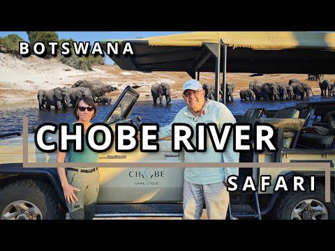 Is Chobe Overhyped? Real Botswana Safari (Electric Boats, Big Herds, No Filter)Chobe River