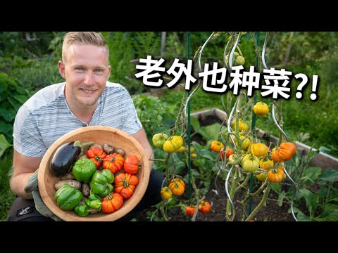 [ENG中文 SUB] Growing My Own ORGANIC VEGETABLES!