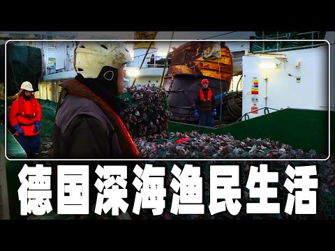探秘德国渔民的深海捕鱼生活,它是一艘德国最先进的海上工厂,出海一趟捕捞1000吨比目鱼,1个月可赚1亿的小目标