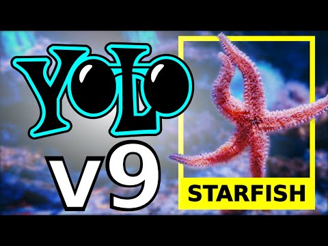 Train Yolov9 object detection custom data on Google Colab | Computer vision tutorial