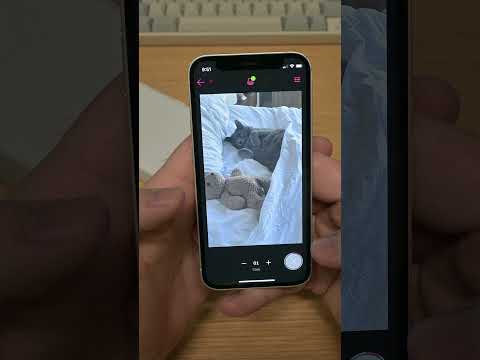 The cutest printer ever??