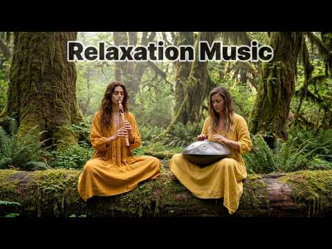 🌿 Emerald Silence | Handpan & Native Flute in Hoh Rain Forest (1-Hour Forest Bathing)