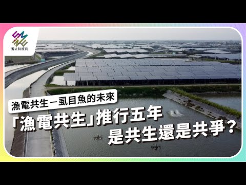 「漁電共生」推行五年，是共生還是共爭？｜漁電共生－虱目魚的未來｜公視 #獨立特派員 第928集 20251112