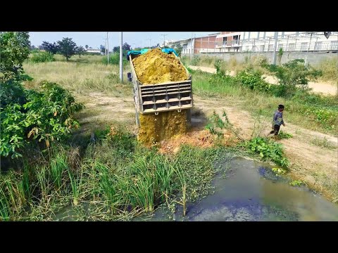 Perfectly Started A New Project!DumpTruck Filling Land Delete Feild,Driver Skills Dozer Pushing Soil