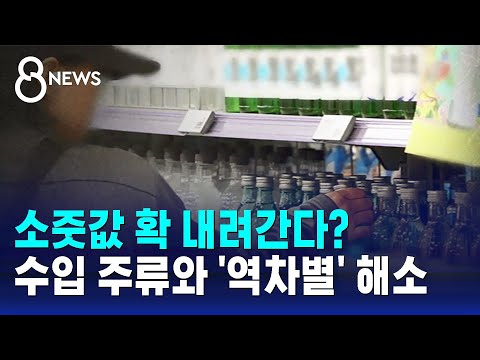 세금 깎아 10년 전 출고가 되는 '소주', 식당서도 내릴까 / SBS 8뉴스