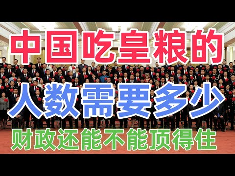 复旦研究揭开财政供养真规模：7600万吃财政饭、结构失衡与基层沉重负担下的系统性风险剖析#制度 #经济 #财政 #周其仁 #向松祚 #公务员 #税收 #电商税
