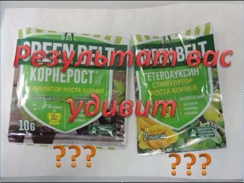 Стимуляторы корнеобразования. Какие лучше?