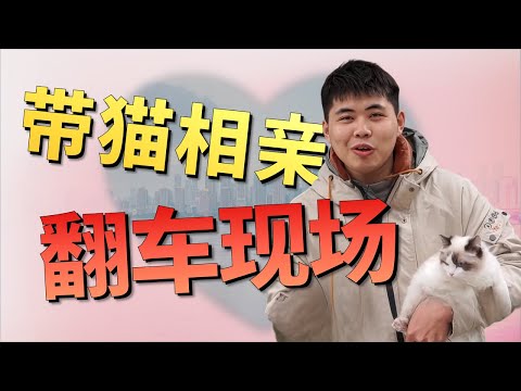 他带猫相亲瞬间俘获女嘉宾芳心？本以为牵手十拿九稳，起身却摇摇晃晃口齿不清一问竟然喝醉了？女嘉宾瞬间变脸！奶奶掏家底救场，奈何孙子眼里只有猫，女嘉宾会接受他的告白吗？|综艺|街头|情感|恋爱|婚姻|单身