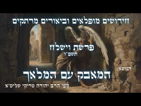 חידושים מפליאים לפרשת וישלח תשפ"ו - מפי הרב יהודה טריקי שליט"א