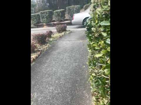 Shein USA reviews: I haven’t received my package | PissedConsumer.com