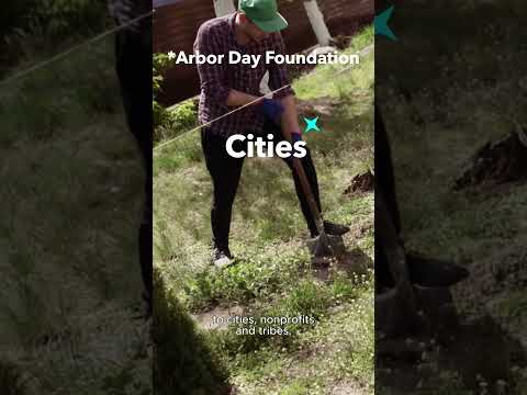 Trees only for the rich?