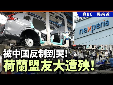 被中國反制到哭！荷蘭盟友大遭殃！