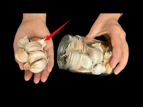 How to Store Garlic : Lasts a Year Without Drying or Sprouting ! ニンニクの保存方法：1年持たせる簡単なテクニック！ 마늘 보관하는 법