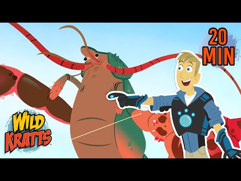Battle of the Lobsters | Creature Battles | Wild Kratts