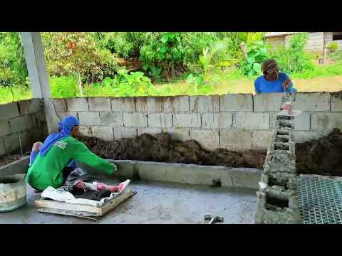 Plastering of nursery section for pre cast flooring,Door making for Gestating Pen!