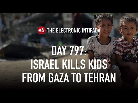 Breaking news and analysis on day 797 of the Gaza genocide | The Electronic Intifada