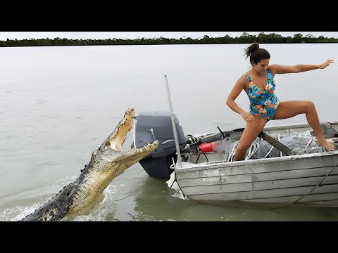 she didn't see the crocodile coming..