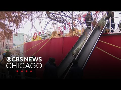 Christmas tree ship tradition held at Navy Pier