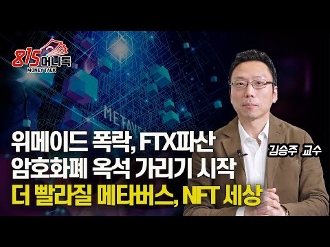 위메이드 폭락, FTX파산, 2000년 IT버블 폭락의 데자뷰! / 가상 화폐 옥석 가리기  더 빨라질 메타버스, NFT 세상 | 김승주 교수