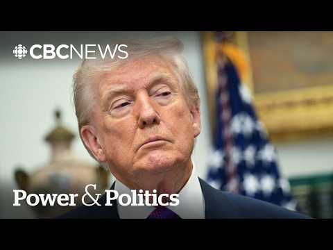 U.S. congressman behind anti-tariff win says Trump 'starting to see the message' | Power & Politics