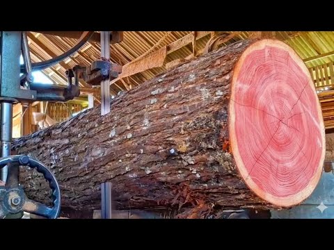 Sawing a beautiful pink tree 