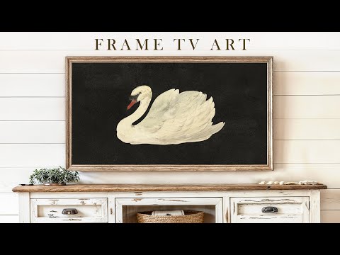 Swan | Vintage Frame TV Art | Black Background | Screensaver For Your TV | 1Hr of 4K HD Paintings