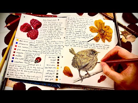 Sketching Raspberries & a Baby Wren 🐦✨ Slow Nature Walk + Cosy Art Vlog