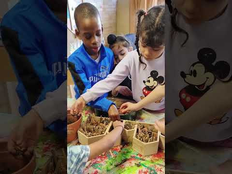 A 7 ans, ils transforment leur cour de récréation  #jardin #nature #écologie