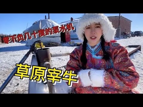 【多多其木格】你见过内蒙古的这种老式泵水机吗？ 宰牛全家上阵，草原溜达牛全身都是宝