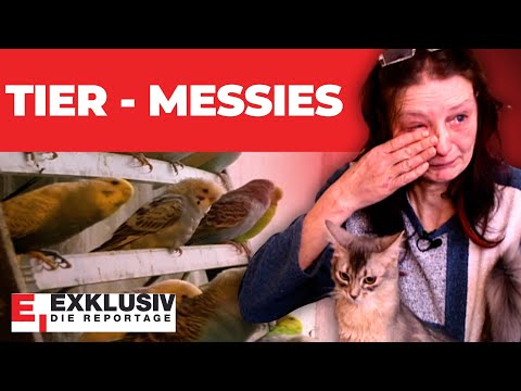 ADDICTION: Extreme animal husbandry! | EXCLUSIVE - THE REPORT