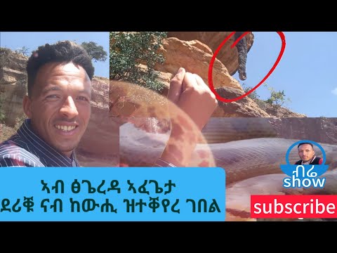 ገበል_ከም_ከውሒ_ደሪቑ_ኣብ_ፅጌረዳ #New tigrigna video