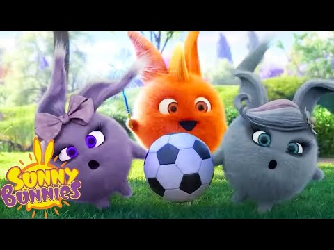 SUNNY BUNNIES - FOOTBALL SEASON | Cartoons for Children | WIldBrain Zoo