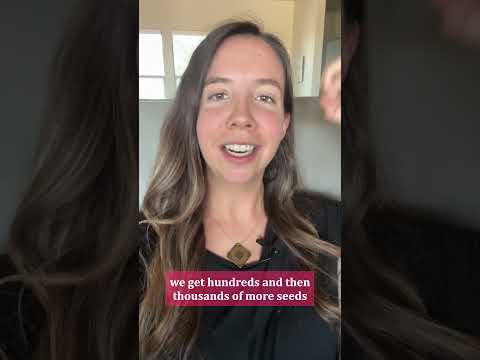 My thoughts on AI doom 💭