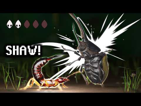 The Insect Tier List