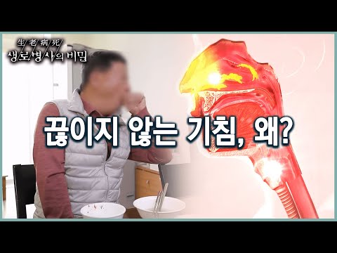 하루종일 끊이지 않는 기침, 원인 질병은 무엇일까? (KBS 20220316 방송)