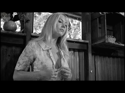 📷 You’re Not Ready for These 100 Shocking Vintage Photos!