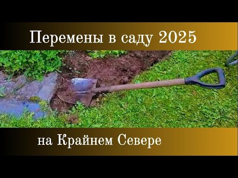 Перемены в саду 2025