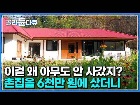 꼬박 1년 동안 천 곳이 넘는 집을 봤다｜모두가 말린 다 쓰러져가는 촌집을 6천만 원에 산 부부｜예쁘면 용서되는 빨간 지붕 감성 촌집｜건축탐구 집｜#골라듄다큐