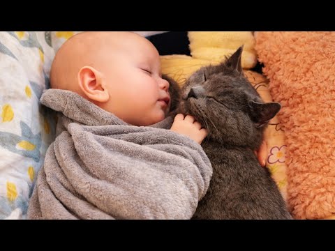 When a Cat Became the Baby’s Companion 🐱👶