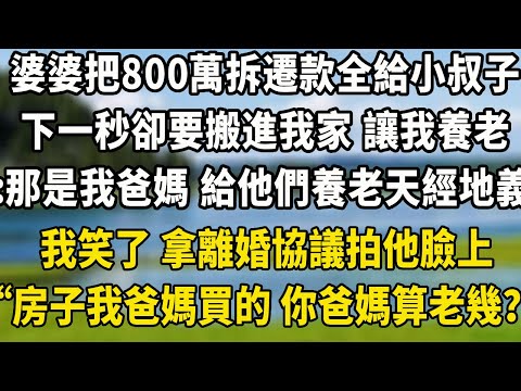 婆婆把800萬拆遷款，全給小叔子，下一秒卻要搬進我家 讓我養老“那是我爸媽！給他們養老天經地義”，我笑了 拿離婚協議拍他臉上“房子是我爸媽買的 你爸媽算老幾？”