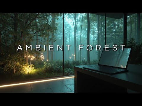 Deep Work Music for Intense Focus – Ambient Forest Focus Music for Productivity & Study