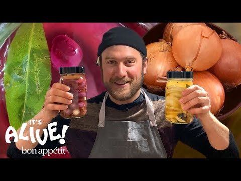 Brad Makes Pickled Onions at Home | It's Alive @ Home | Bon Appétit