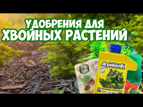 Удобрения для хвойных 🌲  Полезные советы 👍  Сад и огород с Хитсад
